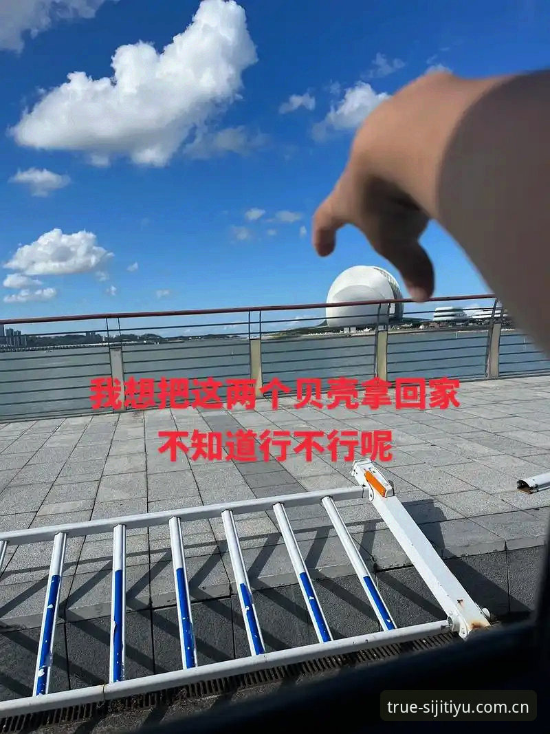 揭秘：尼克斯早就准备好的沙梅特B计划，背后藏着多少你没想到的算盘？